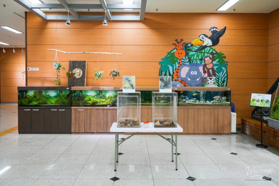 Exploring the Mungyeong Natural Ecology Museum_05