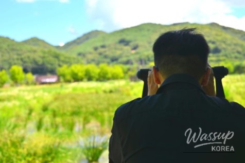 Discover the Beauty of the Yesan Stork Park_05