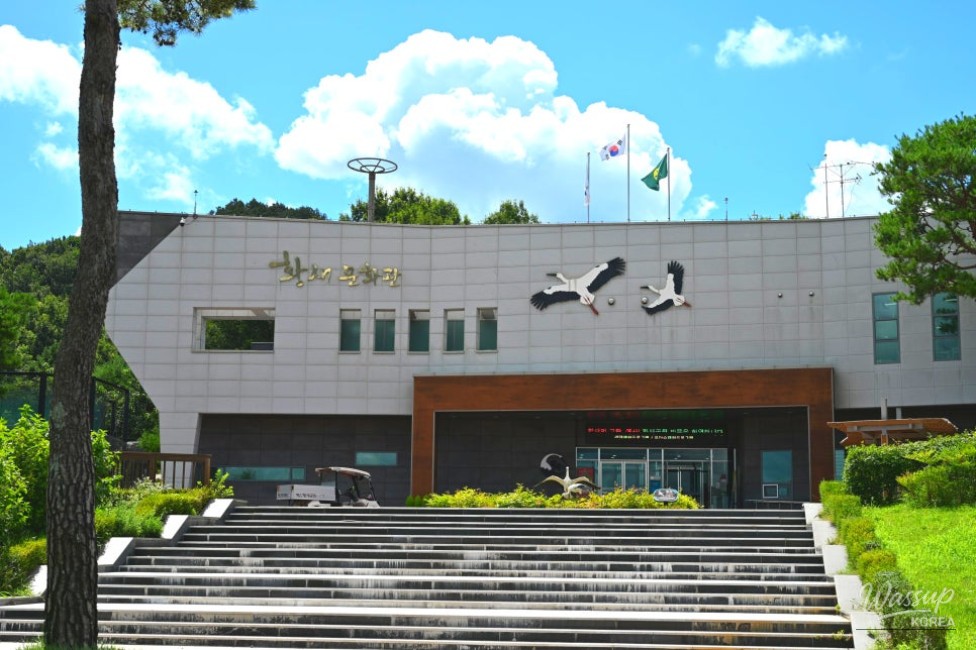 Discover the Beauty of the Yesan Stork Park_03