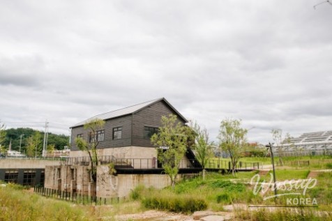 Enjoy the 'Gentle Balance' Exhibition at Magok Seoul Botanical Garden_11