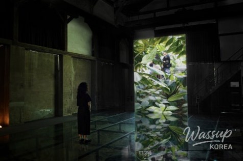 Enjoy the 'Gentle Balance' Exhibition at Magok Seoul Botanical Garden_09