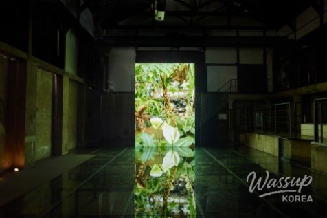 Enjoy the 'Gentle Balance' Exhibition at Magok Seoul Botanical Garden_08