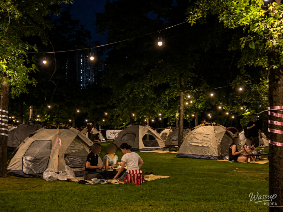 Experience the 2026 Han River Night Camping_01