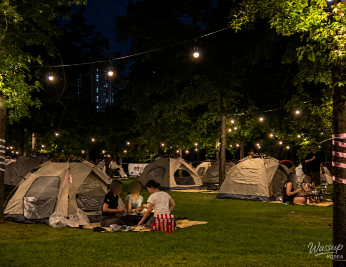 Experience the 2026 Han River Night Camping float