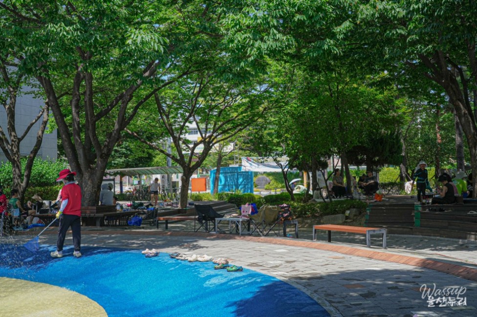 Water Parks in Ulsan: A Summer Delight_04
