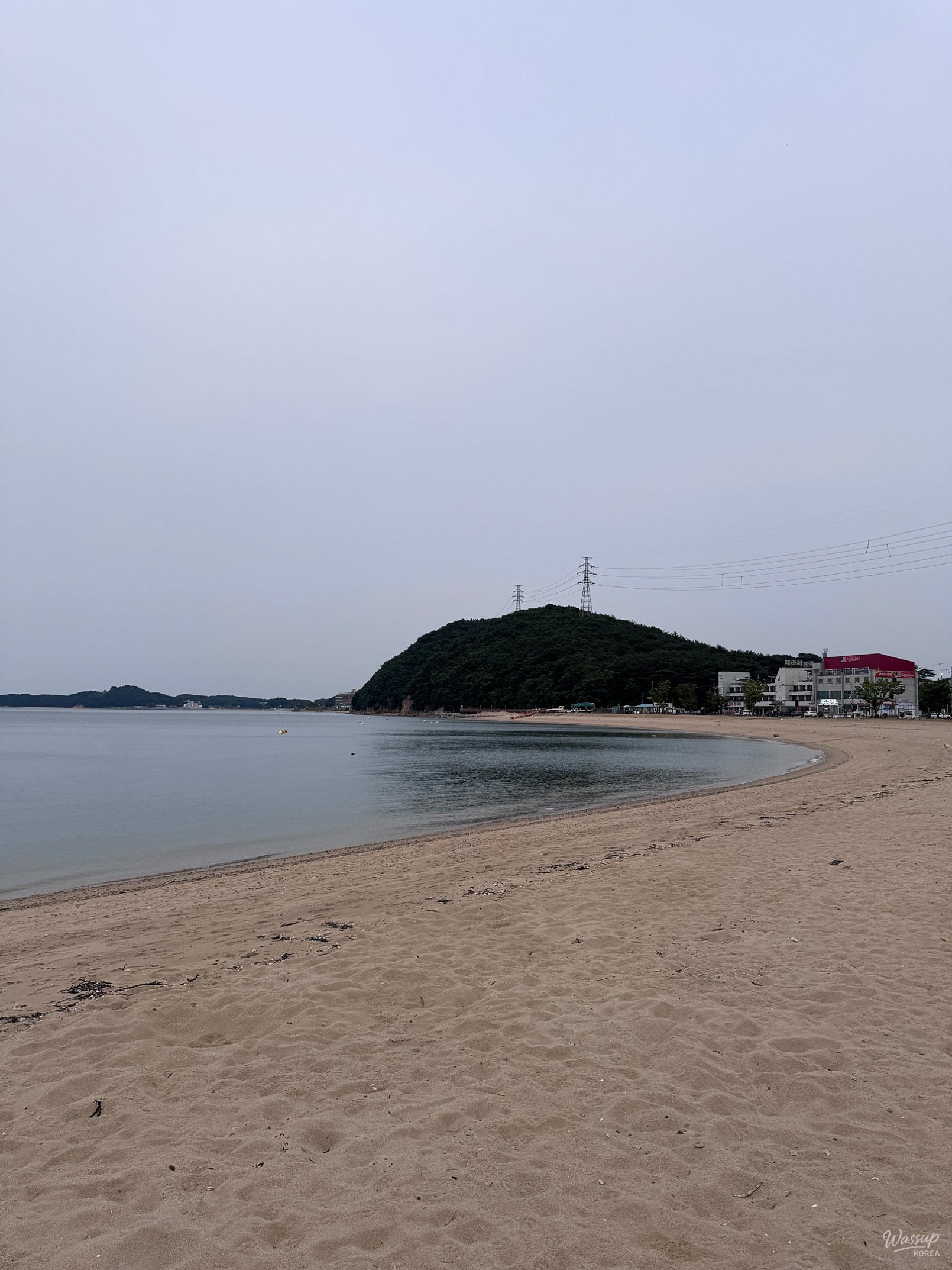 Exploring the Beauty of Waemok Village Beach in Dangjin_14
