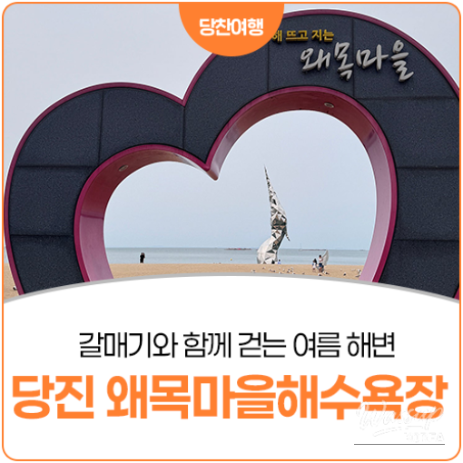 Exploring the Beauty of Waemok Village Beach in Dangjin_21