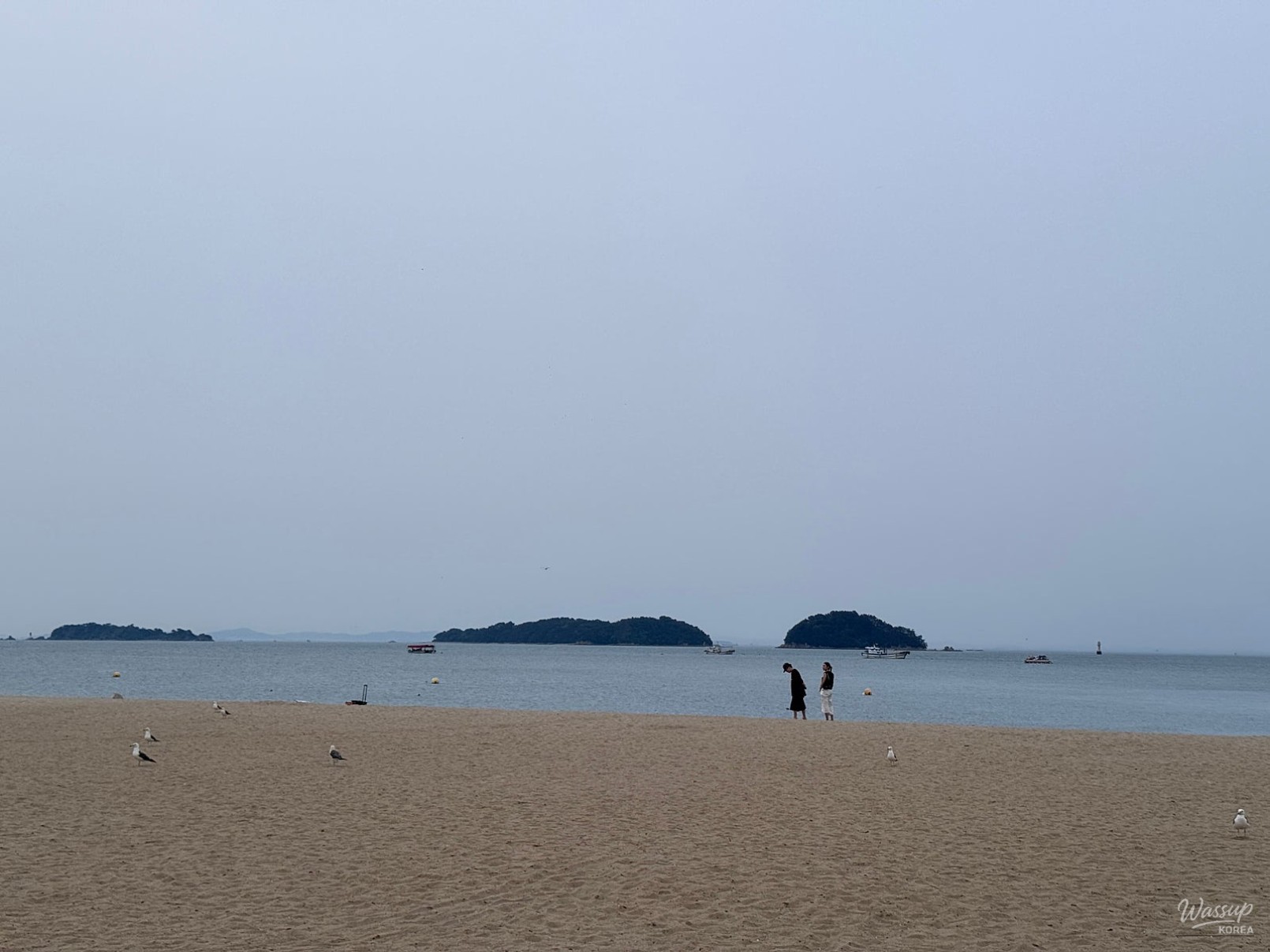 Exploring the Beauty of Waemok Village Beach in Dangjin_04