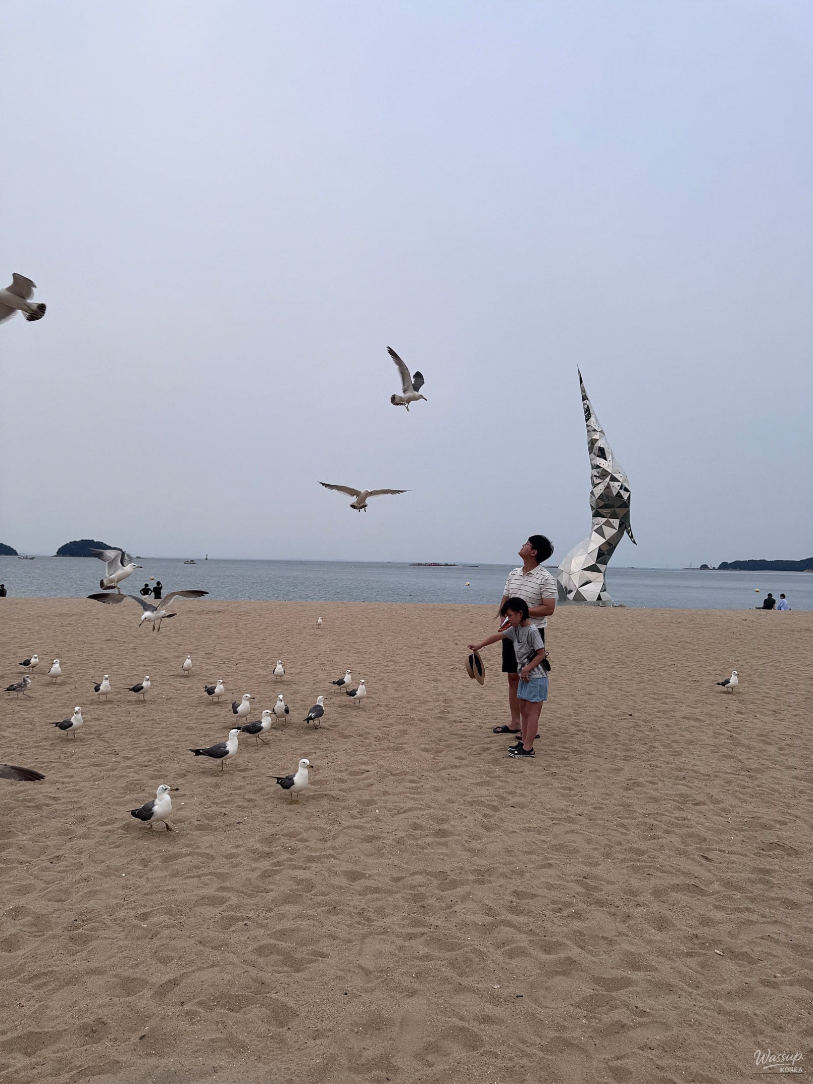 Exploring the Beauty of Waemok Village Beach in Dangjin_09