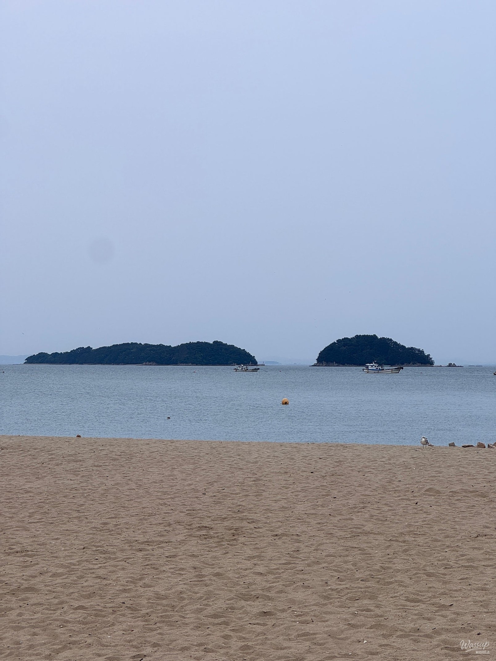 Exploring the Beauty of Waemok Village Beach in Dangjin_12
