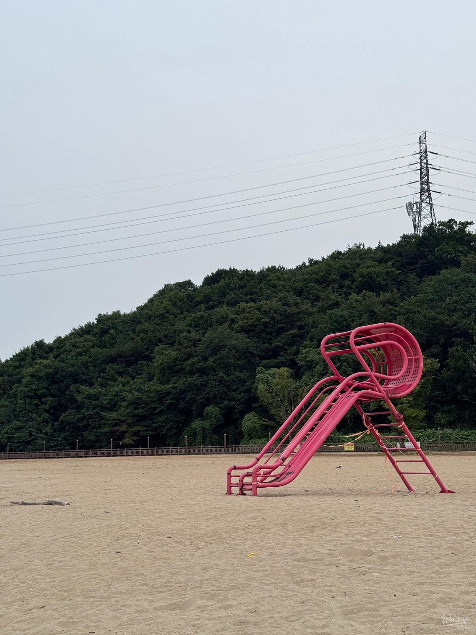 Exploring the Beauty of Waemok Village Beach in Dangjin_08