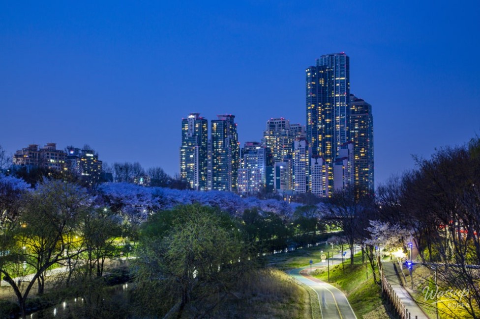 Seoul Night Running: Yangjaecheon Moonlight Run_04