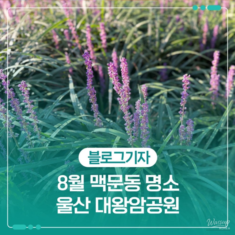 Discovering the Beauty of Daewangam Park in August_01