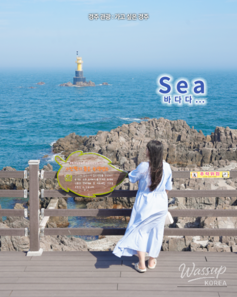 Explore the Beauty of Songdaemal Lighthouse and Light Experience Exhibition_04