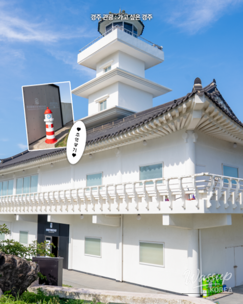 Explore the Beauty of Songdaemal Lighthouse and Light Experience Exhibition_07