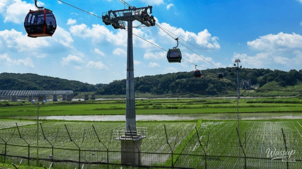 Experience the Thrill of the Peace Gondola in Paju_05