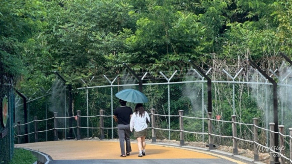 Experience the Thrill of the Peace Gondola in Paju_03