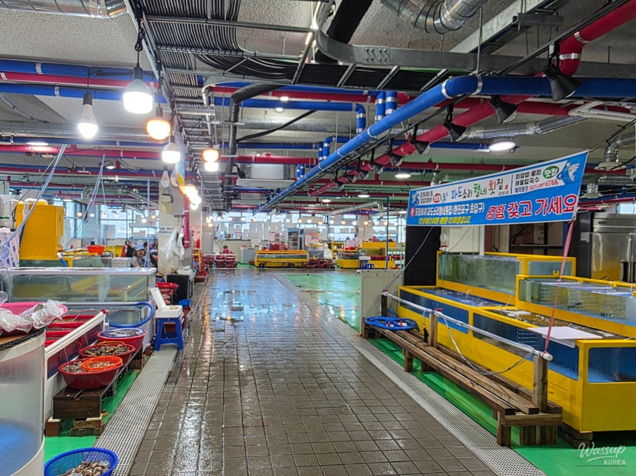 Exploring the Fresh Seafood Market at Han Jin Port in Dangjin_03