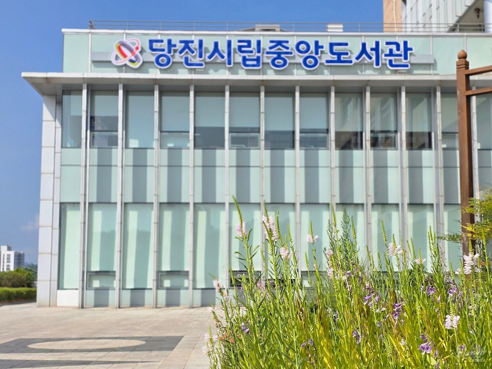 Experience a Unique Summer at the Dangjin City Central Library_02