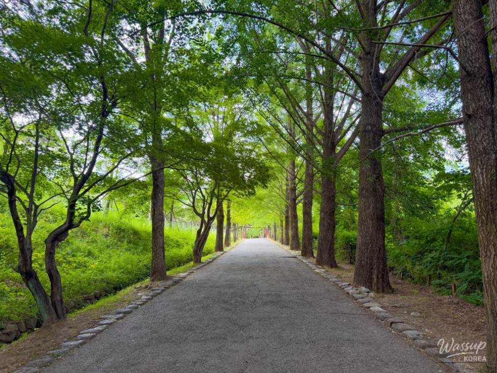 Discover the Tranquility of Buseoksa Temple in Yeongju_02