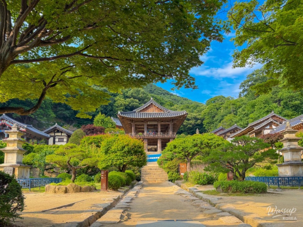 Discover the Tranquility of Buseoksa Temple in Yeongju_03