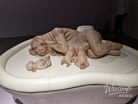 Patricia Piccinini: Kinship Exhibition at Suwon Museum of Art_04
