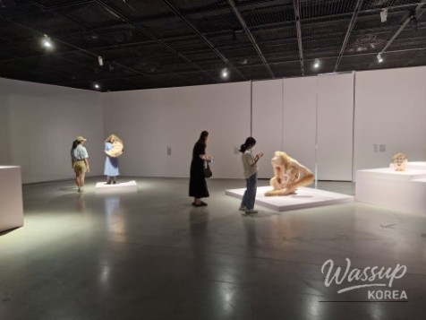 Patricia Piccinini: Kinship Exhibition at Suwon Museum of Art_05