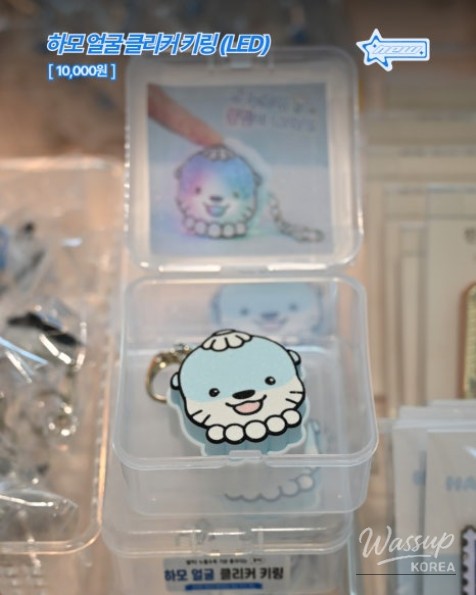 Explore Jinju, Gyeongnam: New Hamo Store Merchandise for August_10