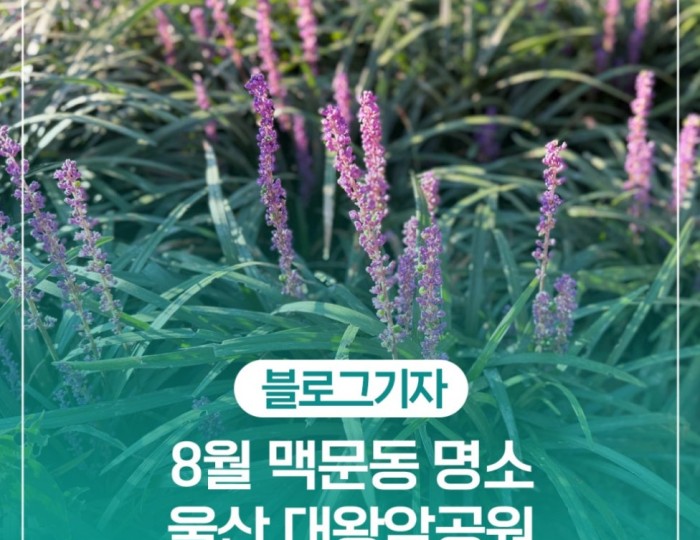 Discovering the Beauty of Daewangam Park in August float