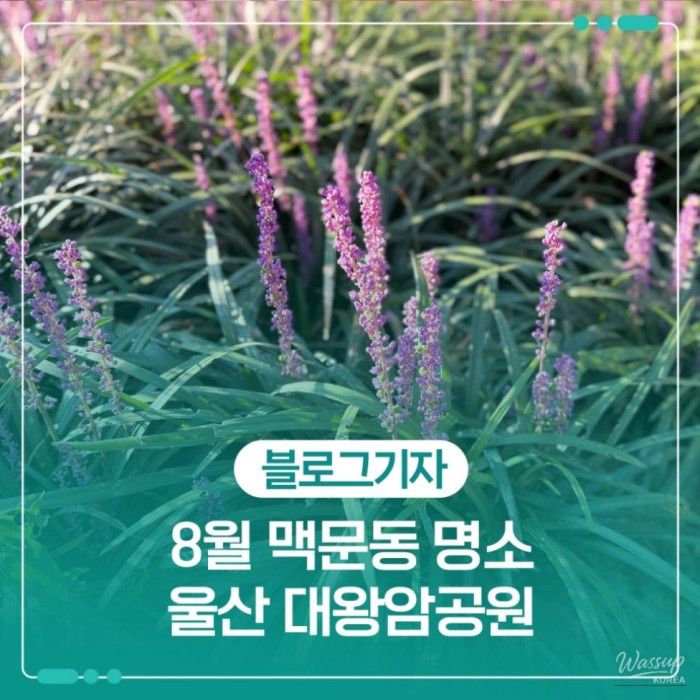 Discovering the Beauty of Daewangam Park in August2402