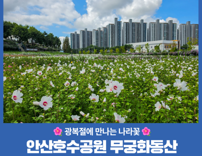 The Beauty of Hibiscus: A Symbol of Korea float