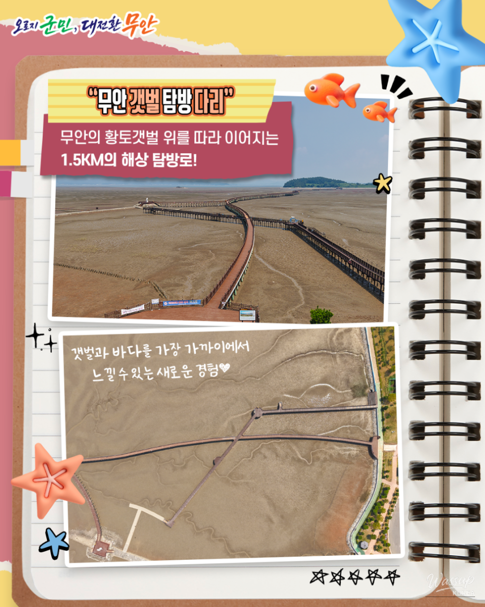 Exploring the UNESCO World Heritage Site: Muan Tidal Flat_10