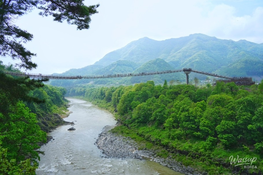Escape the Summer Heat: Discovering Pocheon's Natural Wonders_05