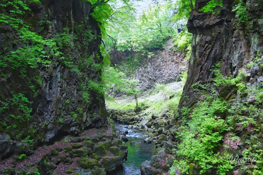 Escape the Summer Heat: Discovering Pocheon's Natural Wonders_04