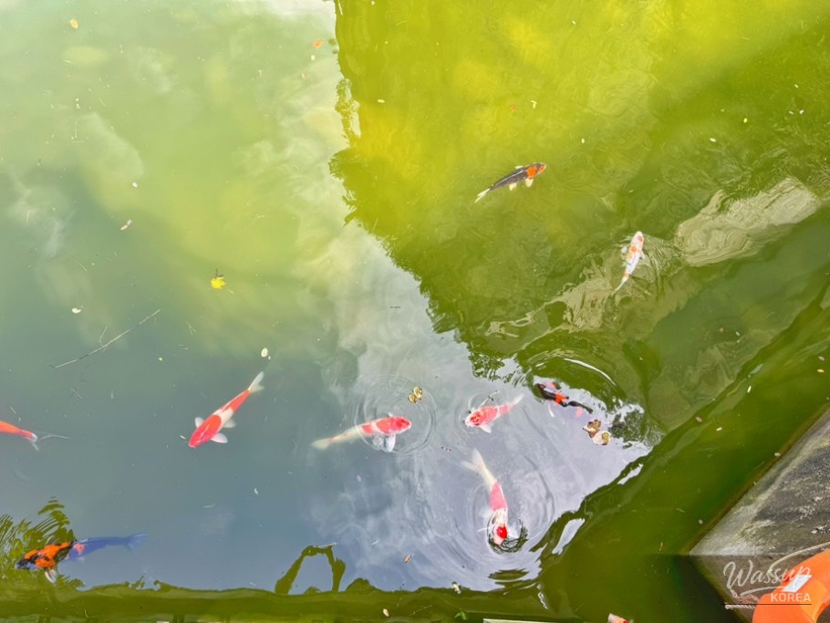Escape the Summer Heat: Discovering Pocheon's Natural Wonders_10
