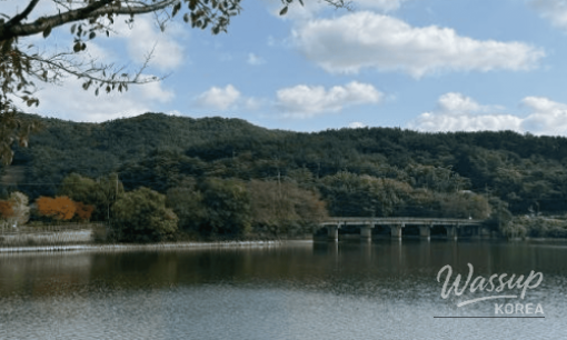 Discovering the Charms of Wolmido Island: A Summer Escape_06