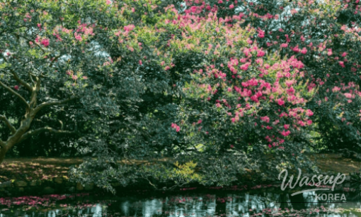 Discovering Medonggol Garden: A Serene Retreat in Yangpyeong_07