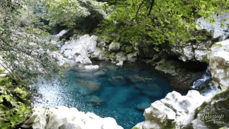 Exploring the Natural Beauty of Donnaecko's Double Waterfall_03