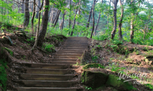 Exploring Seoraksan's Stunning Towangseong Waterfall_06