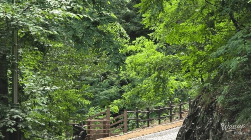 Refreshing Getaway at Cheongdo Nakdae Waterfall_03