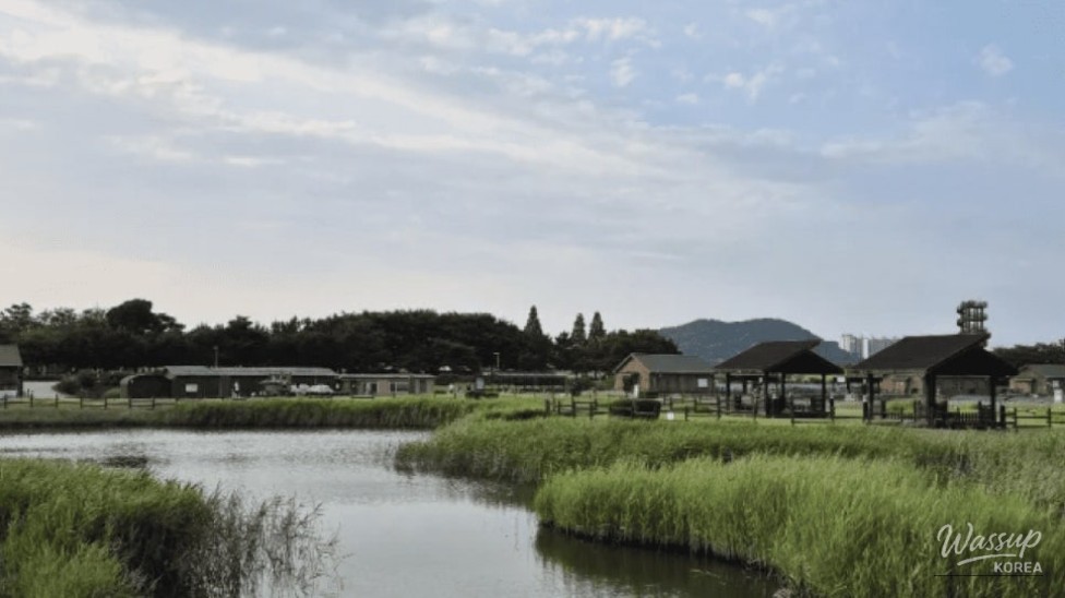 Exploring the Serene Shiheung Misaeng Bridge_05
