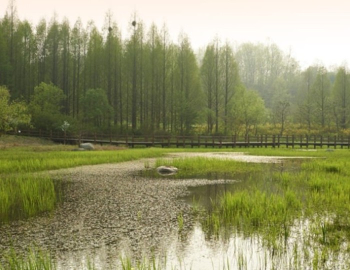 Discover the Serenity of Mulhyanggi Arboretum in Osan float