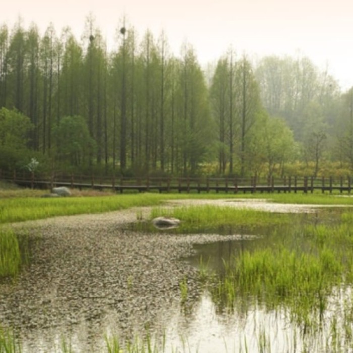 Discover the Serenity of Mulhyanggi Arboretum in Osan4924