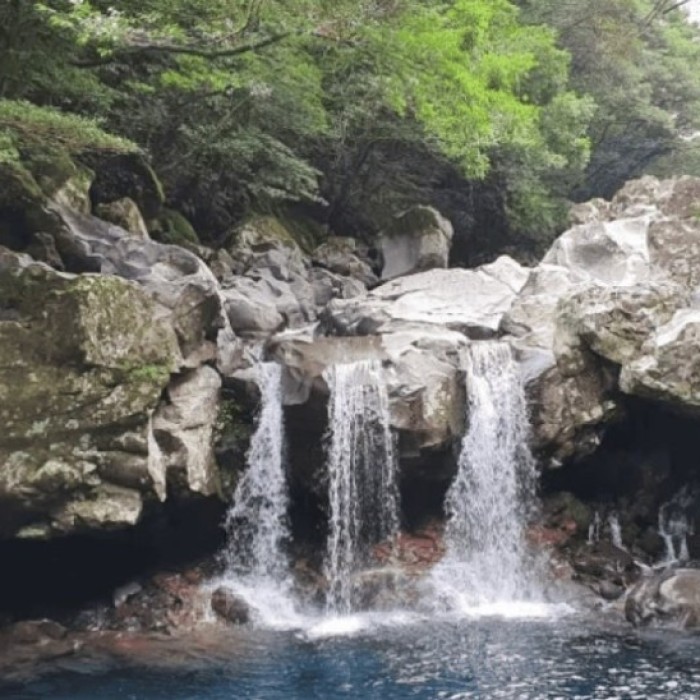 Exploring the Natural Beauty of Donnaecko's Double Waterfall4917