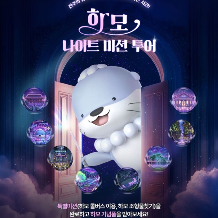 Experience the Harmony Night Mission Tour in Jinju4923