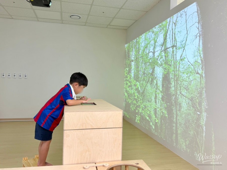 Discover Haman Wood Culture Experience Center_32