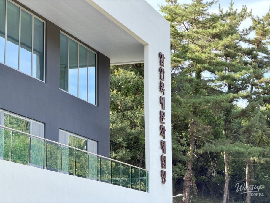 Discover Haman Wood Culture Experience Center_37
