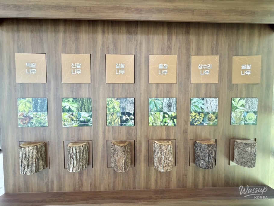 Discover Haman Wood Culture Experience Center_17