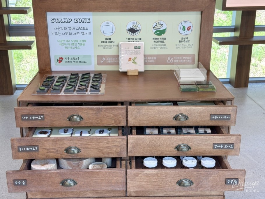 Discover Haman Wood Culture Experience Center_16