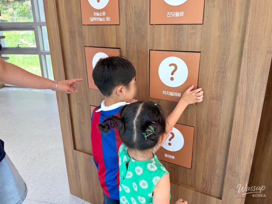 Discover Haman Wood Culture Experience Center_12